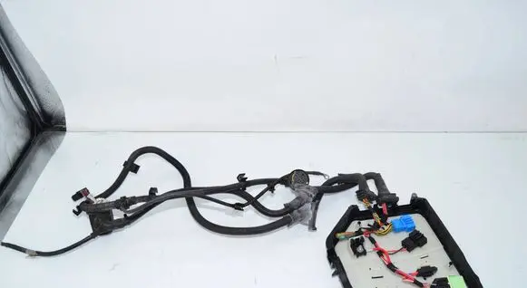 BMW 6 F06 Gran coupe Engine installation wiring loom