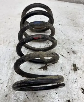 Rear coil spring