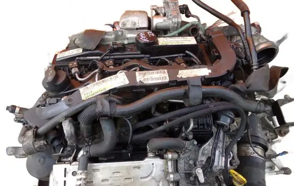 Jeep Compass Engine 651971