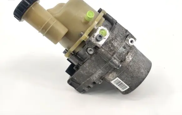 Dacia Sandero Power steering pump 491102583R