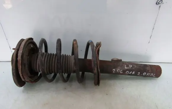 Peugeot 206 Rear shock absorber with coil spring 