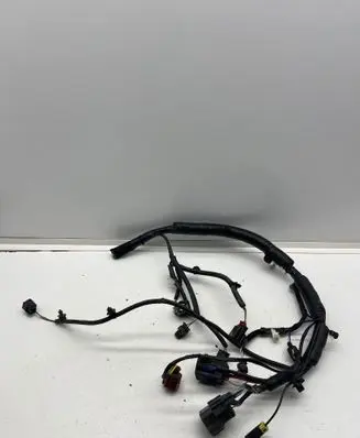 Other wiring loom