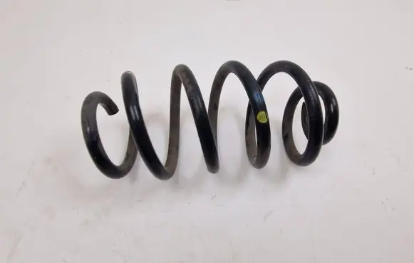 Renault Zoe Rear coil spring 