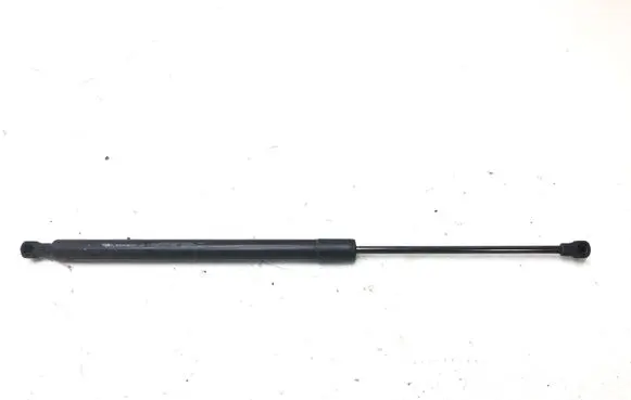 Renault Scenic III - Grand scenic III Tailgate/trunk strut/damper 904500004R 700021052330 F3F600R