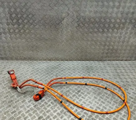 Tesla Model Y Other wiring loom 110900300E