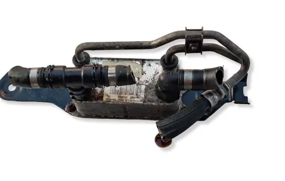 Mercedes-Benz C W204 Engine oil radiator 