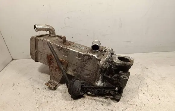 EGR valve cooler