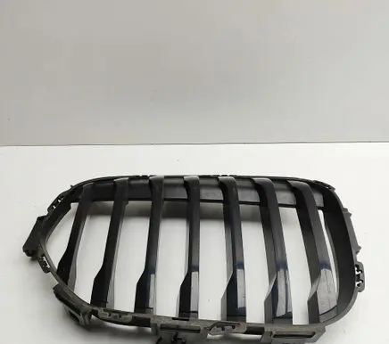 BMW X1 F48 F49 Front grill 8493451