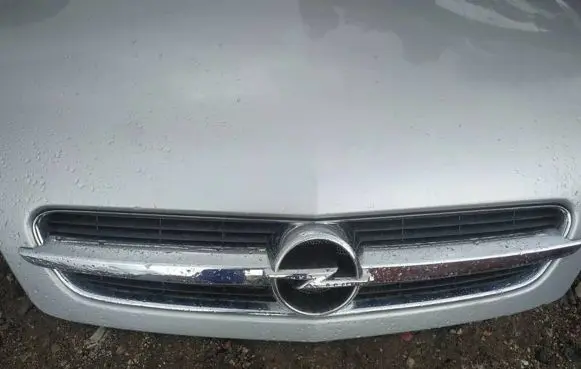 Opel Signum Front grill