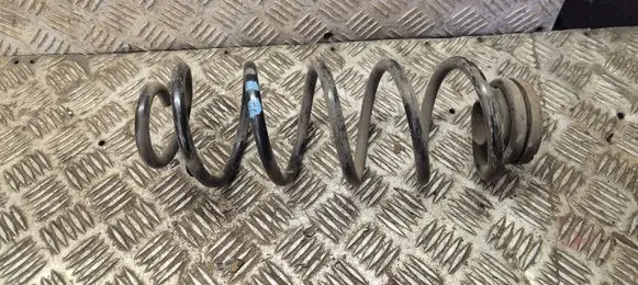 Volkswagen New Beetle Rear coil spring 