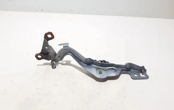 Ford Mustang Mach-E Engine bonnet/hood hinges LJ8BR16C964AE