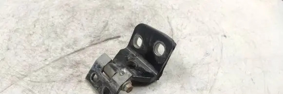 BMW X3 E83 Rear door lower hinge 