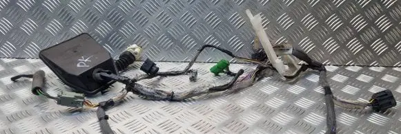 Volvo S80 Front door wiring loom 9469716 D9469716006 D9469716