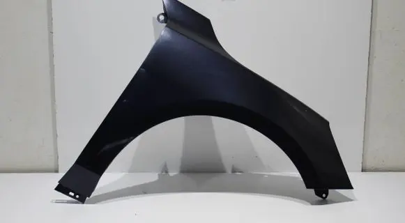 Ford Focus Fender