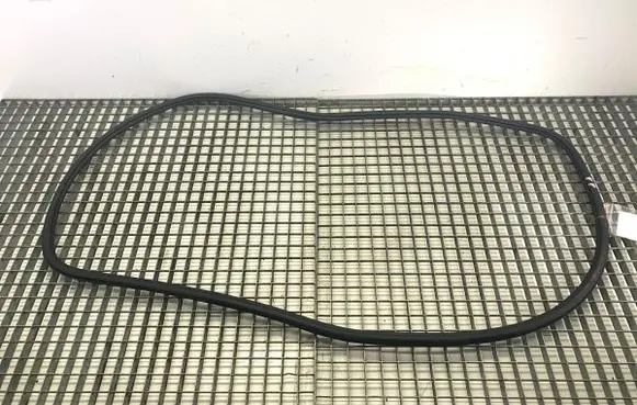 Volkswagen Tiguan Allspace Rubber seal front door (on door) 