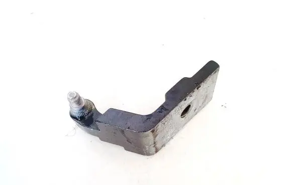 BMW X5 E70 Rear door lower hinge 7160825
