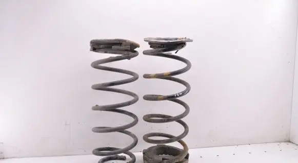 Hyundai i20 (PB PBT) Rear coil spring