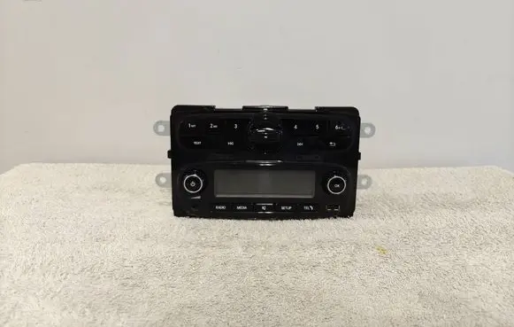 Radio/CD/DVD/GPS head unit
