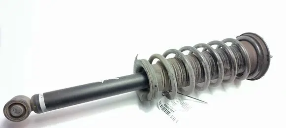 Toyota Mirai II Rear shock absorber/damper 4853062020