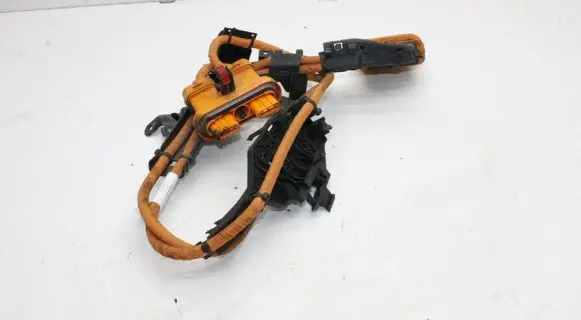 Cupra Born Other wiring loom 1EA971015T