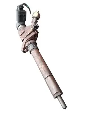 Peugeot 407 Fuel injector 9657144580