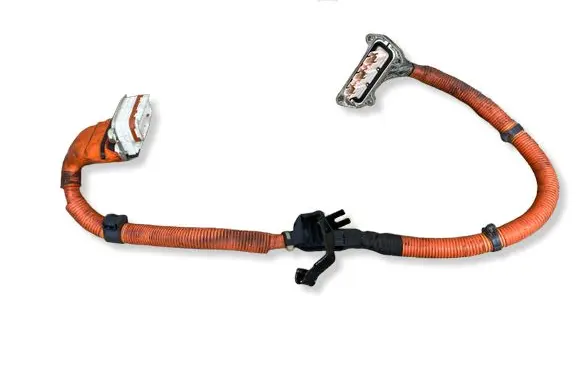 Lexus NX Other wiring loom G114848070B