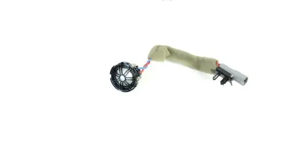Jaguar F-Type Front door speaker BJ3218808AC