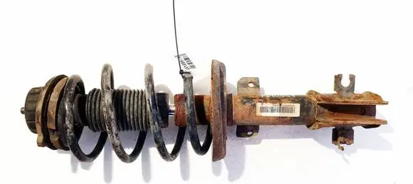 Fiat Bravo Front shock absorber/damper 