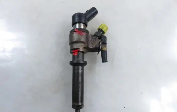 Peugeot Partner Fuel injector 9652173780