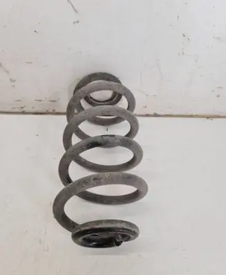 Rear coil spring