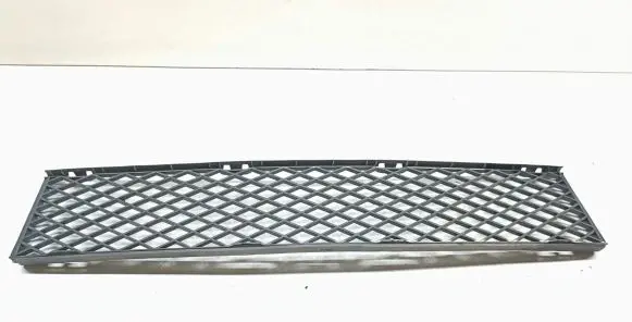 BMW 7 E65 E66 Front bumper lower grill 7135573 51117135573