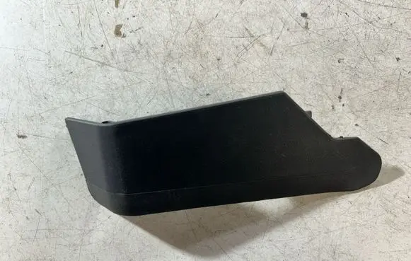 Rear/tail light trim molding