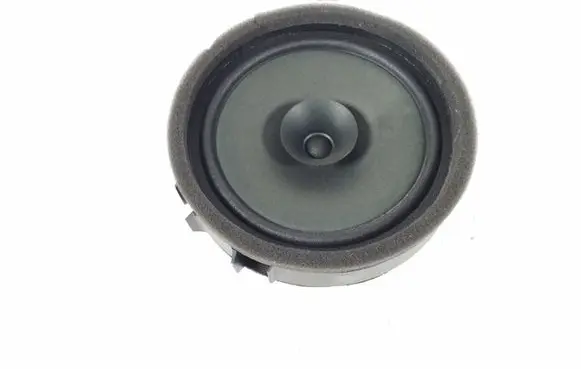 Front door speaker