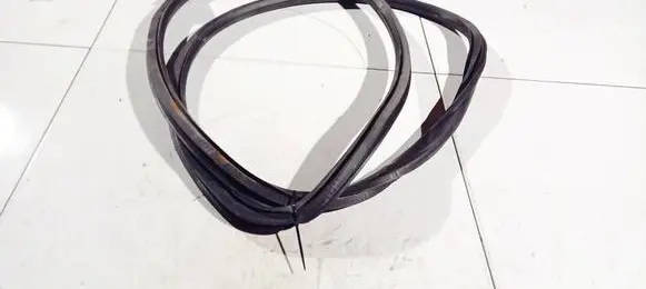 Opel Insignia A Rubber seal front coupe door 
