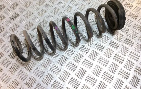 Ford Kuga II Rear coil spring