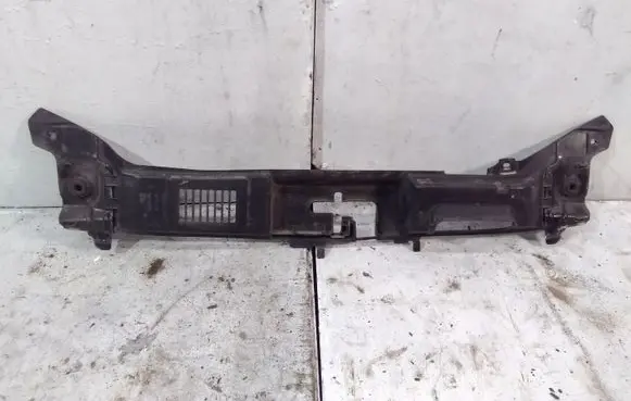 Engine bonnet/hood lock trim molding