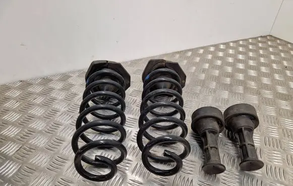 Renault Kadjar Rear coil spring