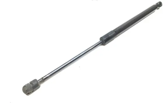 Tailgate/trunk strut/damper
