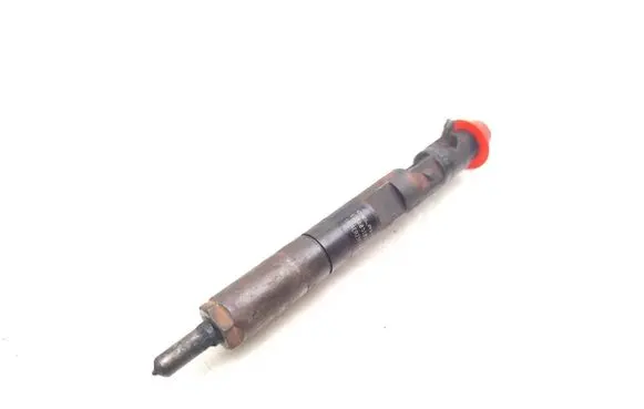 Dacia Sandero Fuel injector EJBR05101D 8200676774