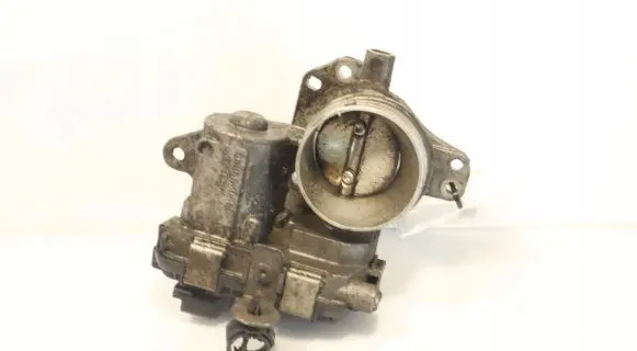Throttle body valve