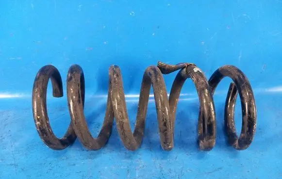 Ford Mustang VI Rear coil spring JR3Z5560E