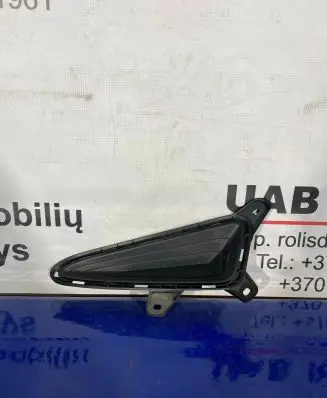 Toyota C-HR I Front bumper lower grill 52128F4020