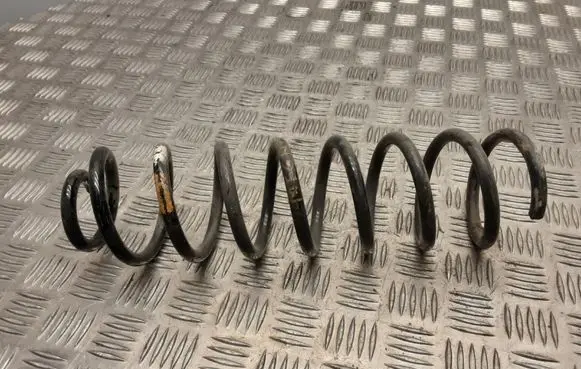 Renault Megane II Rear coil spring