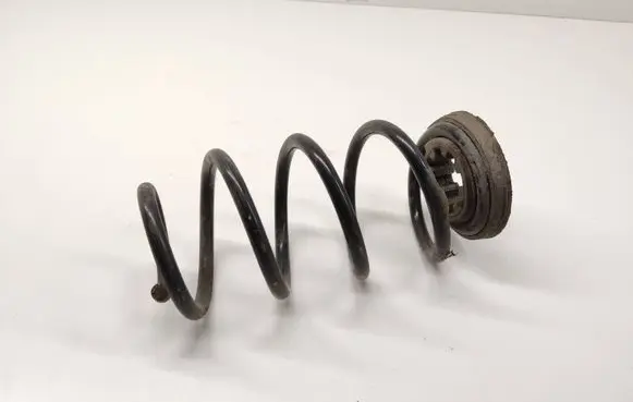 Rear coil spring