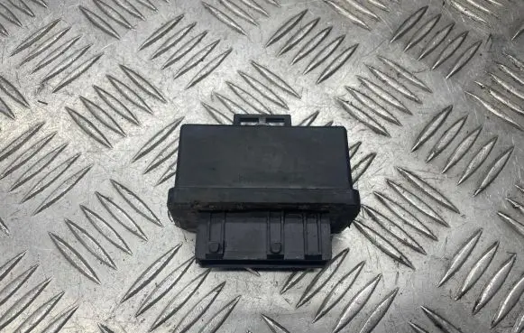 Peugeot 307 Fuel injection pump control unit/module 240107