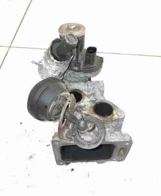 Volkswagen Tiguan EGR valve 0280751012
