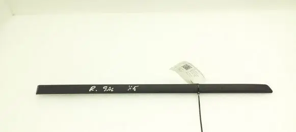 Rear door trim (molding)
