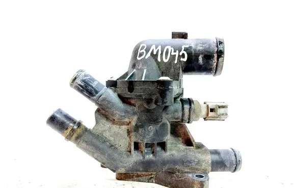 Thermostat/thermostat housing