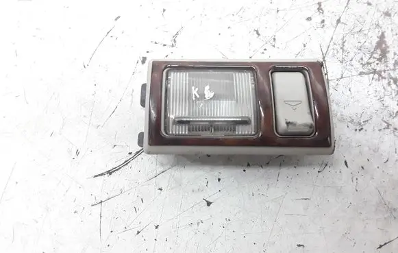 Chrysler Pacifica Rear seat light