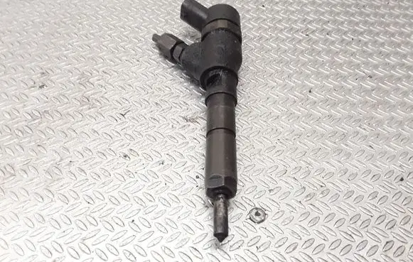 Citroen C5 Fuel injector 0445110062 9640088780